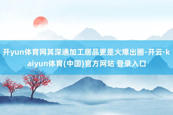 开yun体育网其深通加工居品更是火爆出圈-开云·kaiyun体育(中国)官方网站 登录入口
