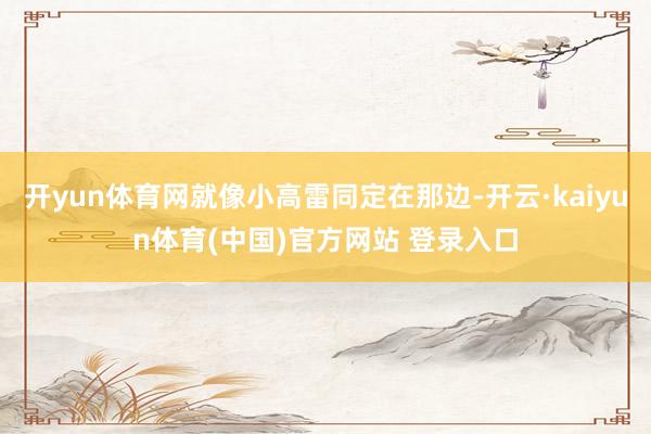开yun体育网就像小高雷同定在那边-开云·kaiyun体育(中国)官方网站 登录入口